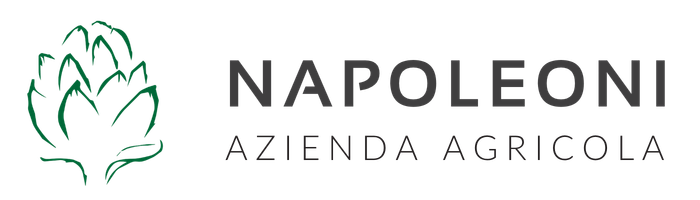 Agricola Napoleoni Logo